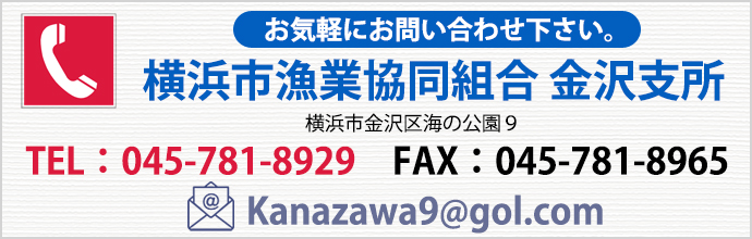 金沢漁港へのお問い合せはこちら