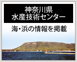 神奈川県水産技術センター