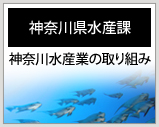 神奈川県水産課