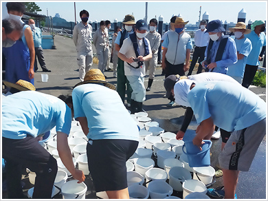 稚魚の振り分け